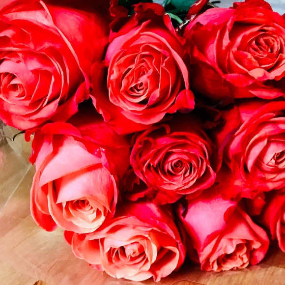 Meet your Posher, Rachel - Picture 1 of 1